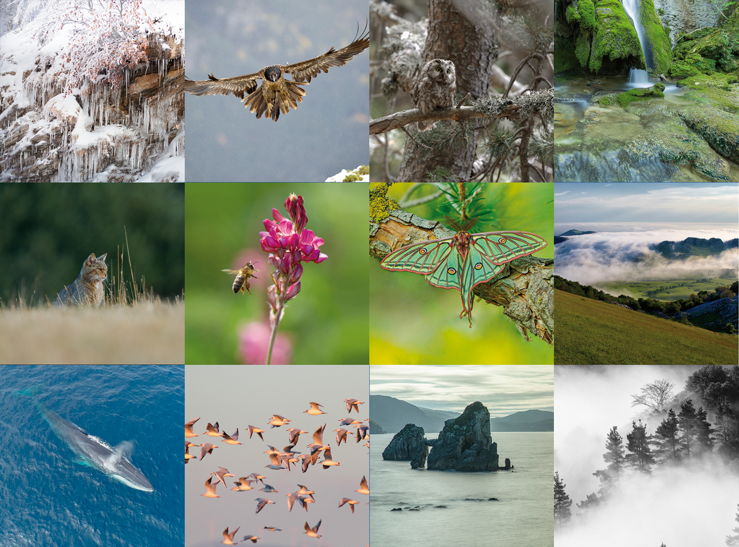 El calendario 2020 de LABORAL Kutxa te muestra las imágenes de naturaleza más espectaculares de Euskal Herria